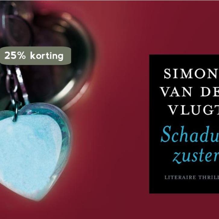 Schaduwzuster / Dwarsligger / 62 9789049800543, Boeken, Thrillers, Gelezen, Verzenden