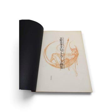 Yoshitaka Amano — Tarotkaartkunstboek - Papier - Yoshitaka
