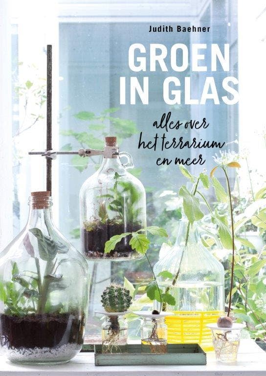 Groen in glas 9789462501928 Judith Baehner, Livres, Loisirs & Temps libre, Envoi