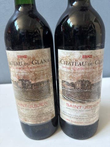1982 Chateau du Glana - Saint-Julien - 2 Bouteilles (0,75 L), Collections, Vins
