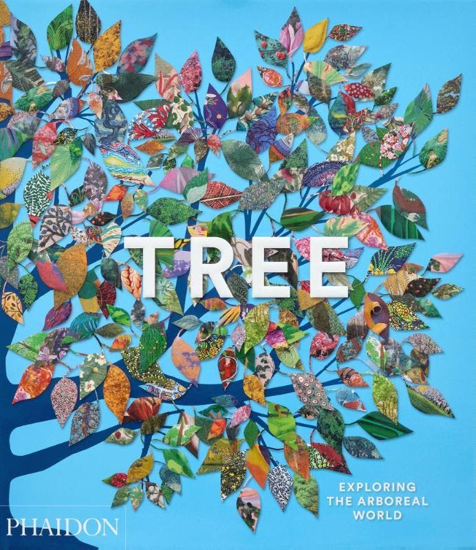 Tree 9781838667795 Phaidon Editors; Tony Kirkham, Livres, Livres Autre, Envoi