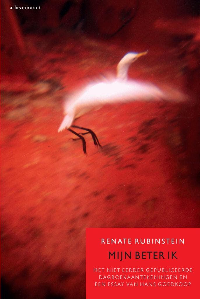 Mijn beter ik 9789045031859 Renate Rubinstein, Boeken, Literatuur, Gelezen, Verzenden