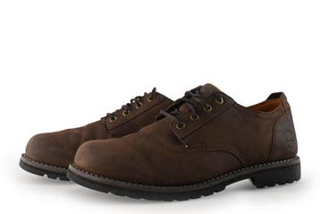 Timberland Veterschoenen in maat 44 Bruin, Kleding | Heren, Schoenen, Bruin, Verzenden, Timberland, Gedragen