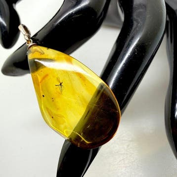 Natuurlijke Baltisch amber met insecteninclusie - hanger in
