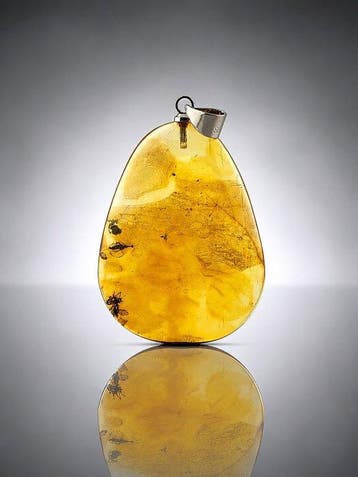 Natuurlijke Baltische amber halsketting met een hemipterisch