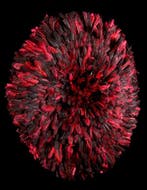 JUJU Hut - Bamileke - Cameroun, Antiquités & Art