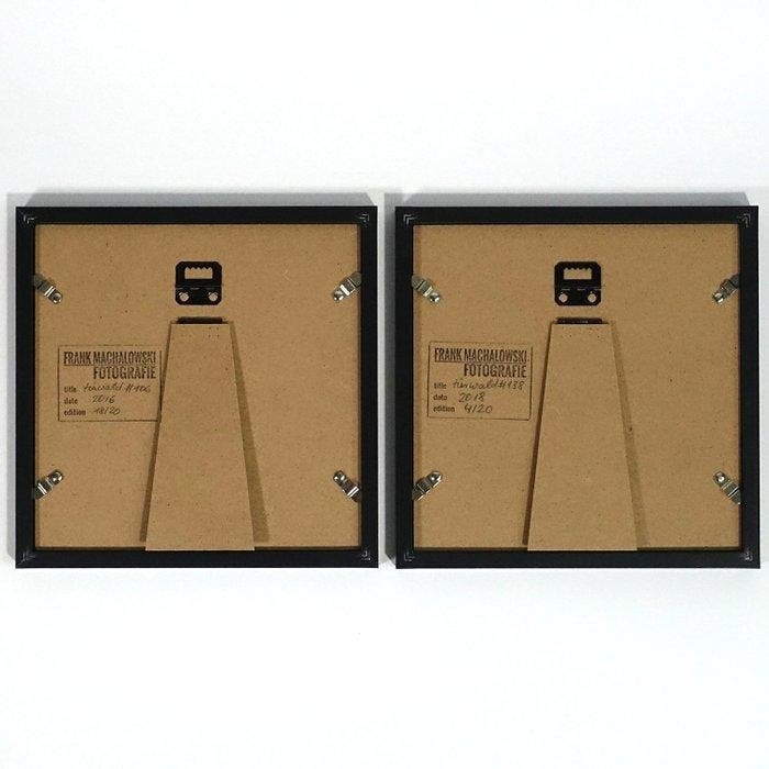 Frank Machalowski - Two framed photographs from the series, Antiek en Kunst, Kunst | Designobjecten