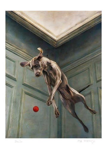 Mr Strange (XX-XXI) - Charly Jump!