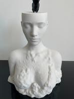 serena grassetti - Within