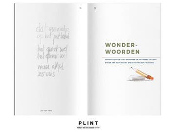 DICHTER. / DICHTER. 2 / SCHOOL / Plint 9789059306950, Verzenden, Gelezen, De dichters van DICHTER 2