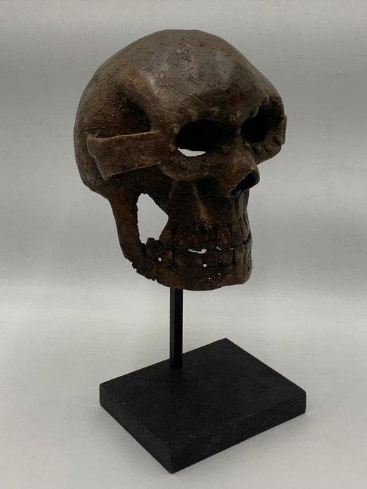 Tete de squelette Tiv - Hoofd van een figuur - masker kraan, Antiek en Kunst, Kunst | Niet-Westerse kunst