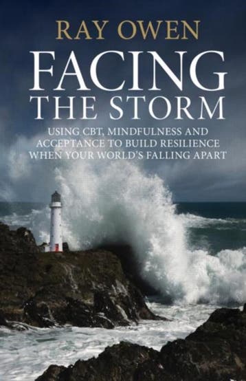 Facing The Storm 9780415676595 Ray Owen, Verzenden, Ray Owen