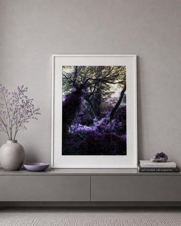 Susana Galbis (XX) - Dreaming forest