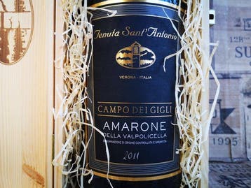 2011 Tenuta SantAntonio Campo dei Gigli - Veneto, Amarone, Verzamelen, Nieuw