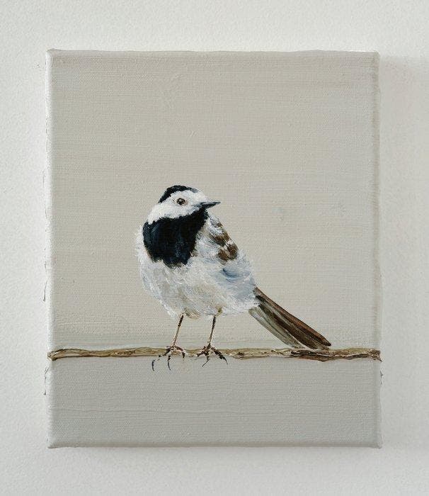 Matthieu van Riel - Witte kwikstaart, Antiek en Kunst, Kunst | Schilderijen | Modern