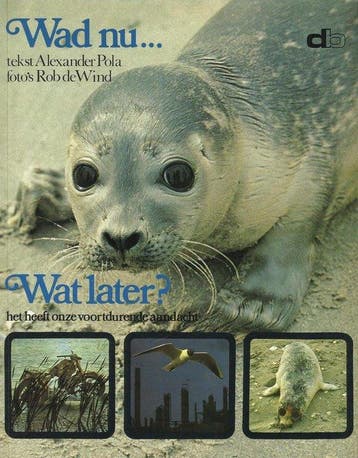 Wad nu wat later - Pola, Verzenden