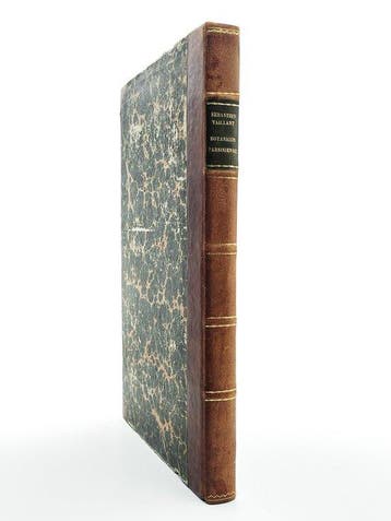 Sébastien Vaillant - Botanicon Parisiense - 1727