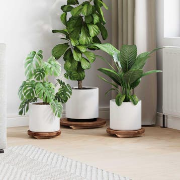 vidaXL Plantenkruk 3 st Naturel 29 x 29 x 3,5 cm Mahonie, Verzenden, Nieuw