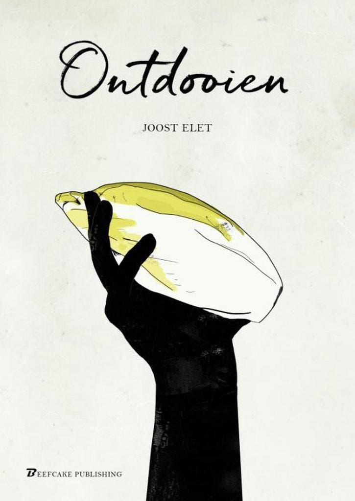 Ontdooien 9789491144622 Joost Elet, Livres, Romans, Envoi