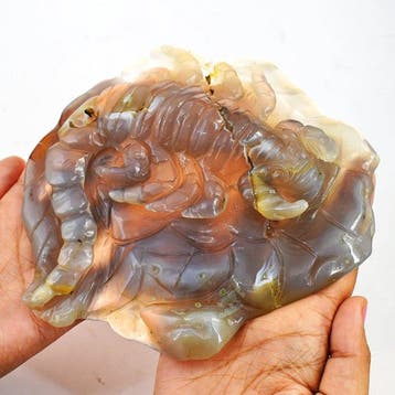 Beeld, Genuine Turkey Chalcedony Carved Scorpion Carving -