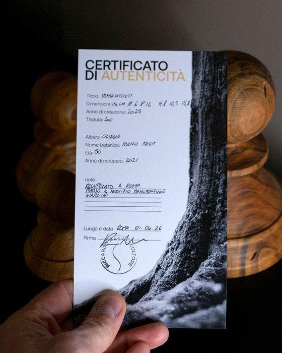 Riccardo Masini - Sopravvissuti, Antiek en Kunst, Kunst | Designobjecten