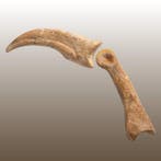 Griffe de dinosaure avec la première phalange assortie -