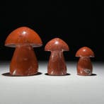 Sans prix de réserve - Magnifique ensemble de 3 jaspe rouge