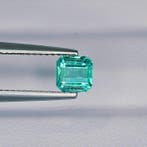 Zonder minimumprijs Smaragd - 0.99 ct - International