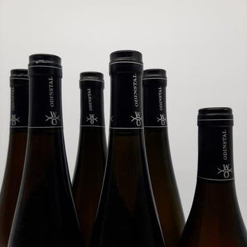 Odinstal; Altenburg, Muschelkalk x2, N.N. Riesling,