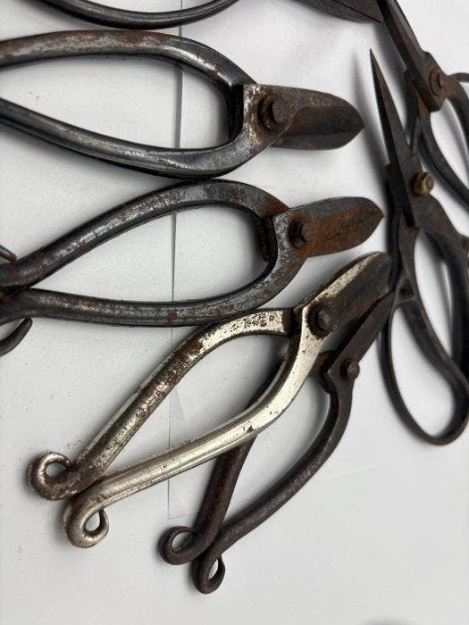 Bonsai Scissors – Mixed Lot –  Pieces - Werkgereedschap (8), Antiquités & Art, Curiosités & Brocante