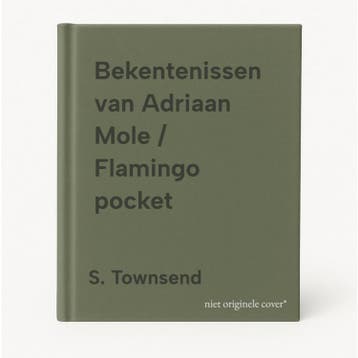 Bekentenissen van Adriaan Mole / Flamingo pocket S. Townsend, Verzenden, S. Townsend