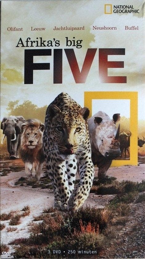 Afrikas Big Five op DVD, CD & DVD, DVD | Documentaires & Films pédagogiques, Envoi