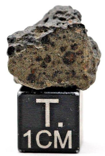 NWA 17750 CK4 koolstofrijke meteoriet Koolhoudende chondrite, Verzamelen