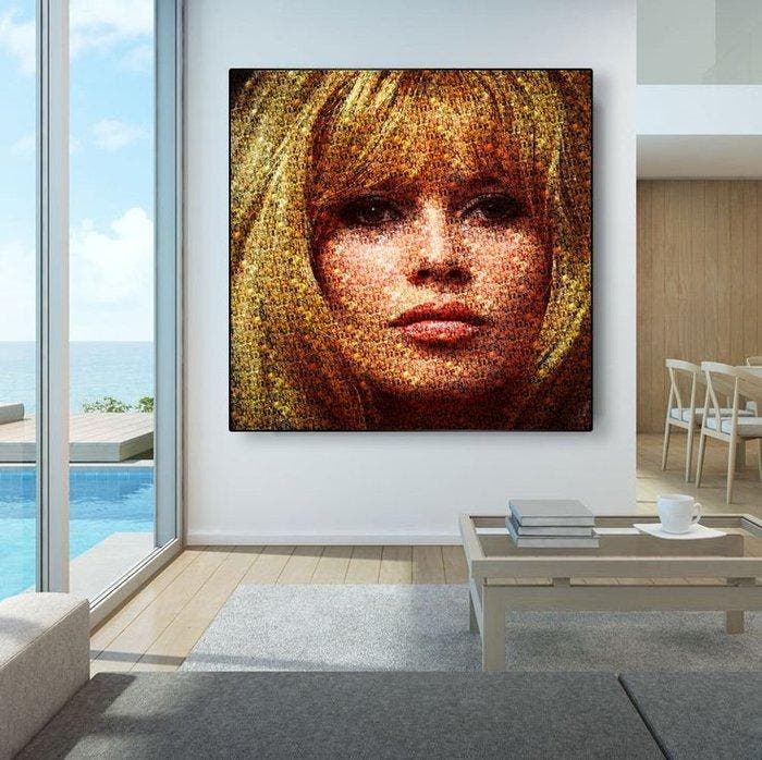 Jacon Art - Piace a troppi (1956) - Brigitte Bardot, Collections, Cinéma & Télévision