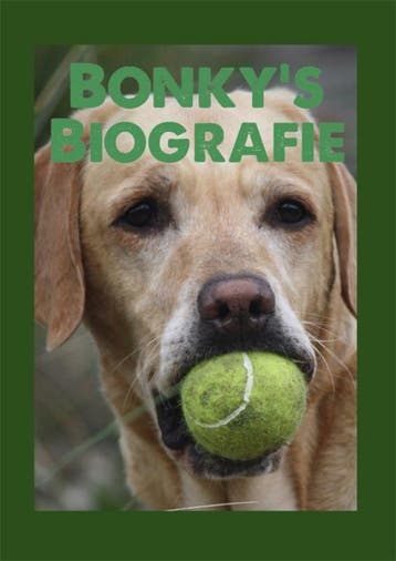 Bonkys Biografie 9789493240032 Anita Drenthen, Livres, Verzenden, Anita Drenthen