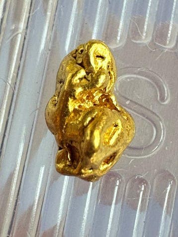 Goud Goud nugget- 0.34 g - (1), Collections