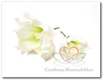 Magnolia Soft Groen Foambloem Kort doos 12 stuks, Huis en Inrichting, Nieuw