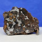 -endcut- PALLASITE météorite. SERICHO (Kenya, 2016), Collections