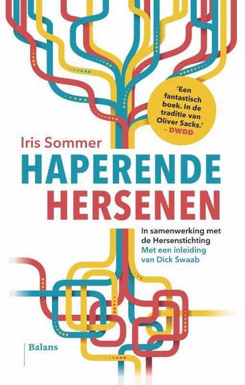 Haperende hersenen 9789460038327 Iris Sommer, Verzenden, Iris Sommer