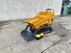 Veiling: Rupsdumper TP500 Benzine 2026 Nieuw, Ophalen