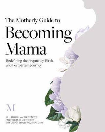 The Motherly Guide to Becoming Mama 9781683643555, Verzenden, Diana Spalding