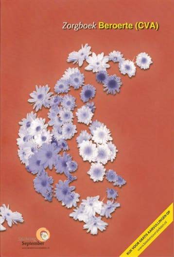 Beroerte (CVA) 9789086481040, Verzenden, Gelezen