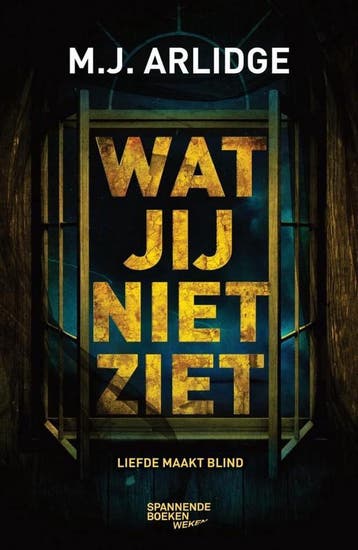 Wat jij niet ziet 9789059655201 M.J. Arlidge, Boeken, Verzenden, Gelezen, M.J. Arlidge