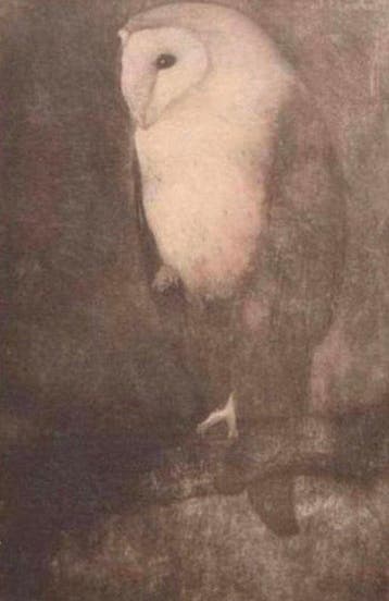 Jan Mankes (1889-1920) - Uil op Boomtak