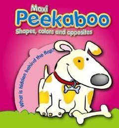 Vormen, kleuren en tegengestelden, Hond 9789058438881 Yoyo, Verzenden, Gelezen, Yoyo