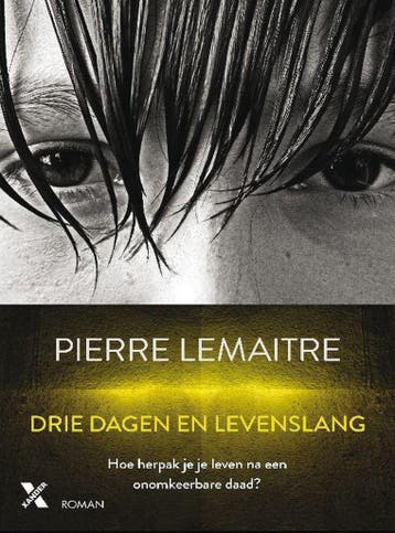 Drie dagen en levenslang 9789401606097 Pierre Lemaitre, Boeken, Verzenden, Gelezen, Pierre Lemaitre