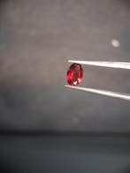 Natural Garnet - Rhodolite - 0.715 ct - oval - unheated- red, Verzenden, Nieuw