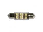 LED 6SMD 37mm White 2st, Ophalen of Verzenden, Nieuw