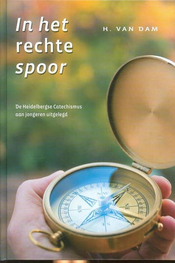 In het rechte spoor 9789033125416 Dam, Verzenden, Zo goed als nieuw, Dam