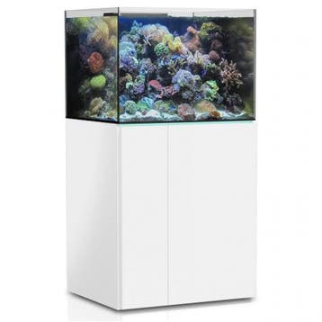 Aqua Medic Armatus 300 XD white, Dieren en Toebehoren, Verzenden, Nieuw